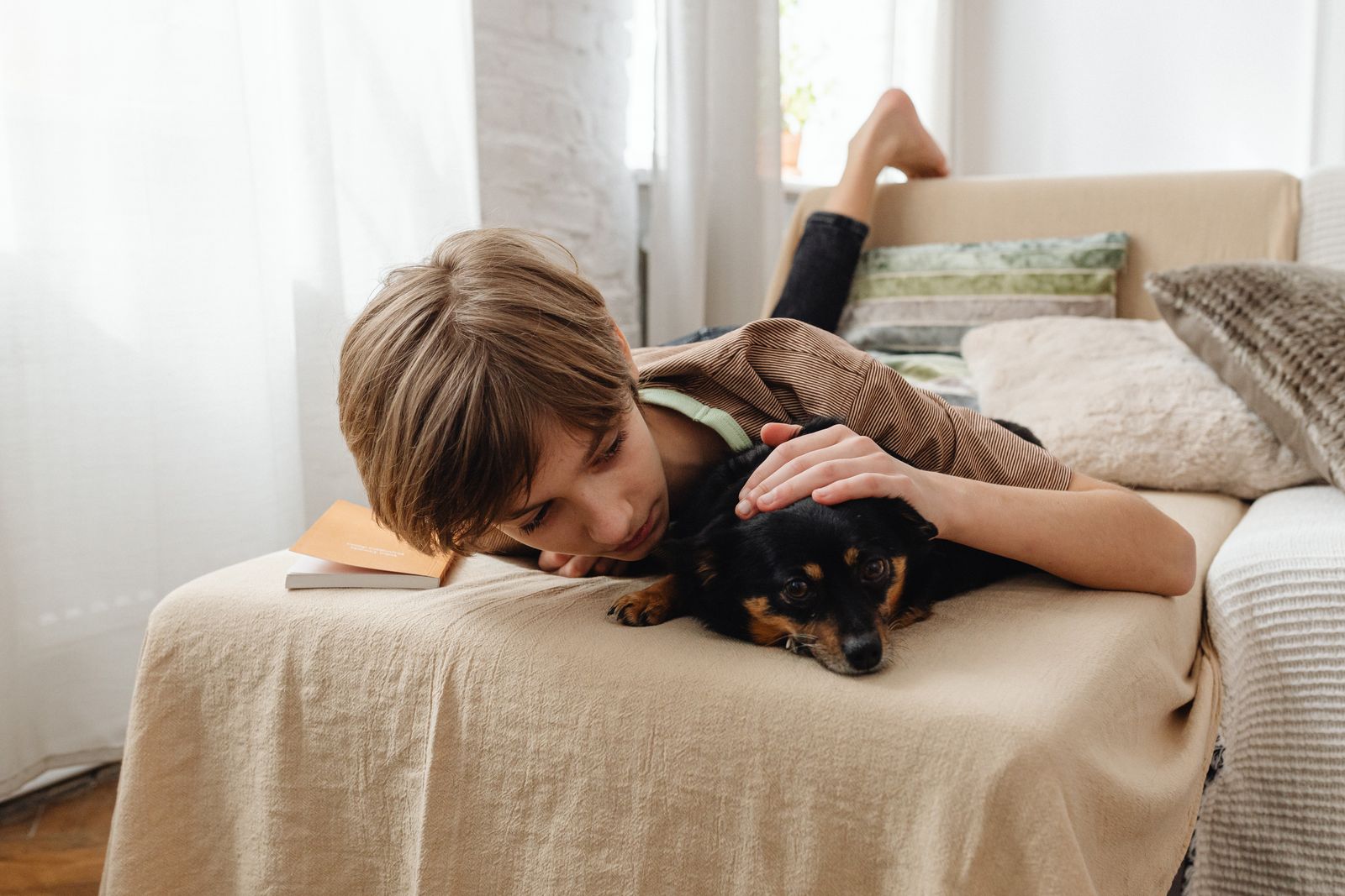 kid and dog after school