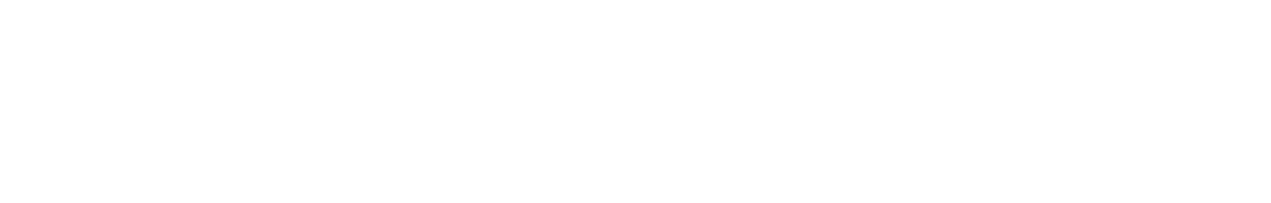 Maximum FX Salon