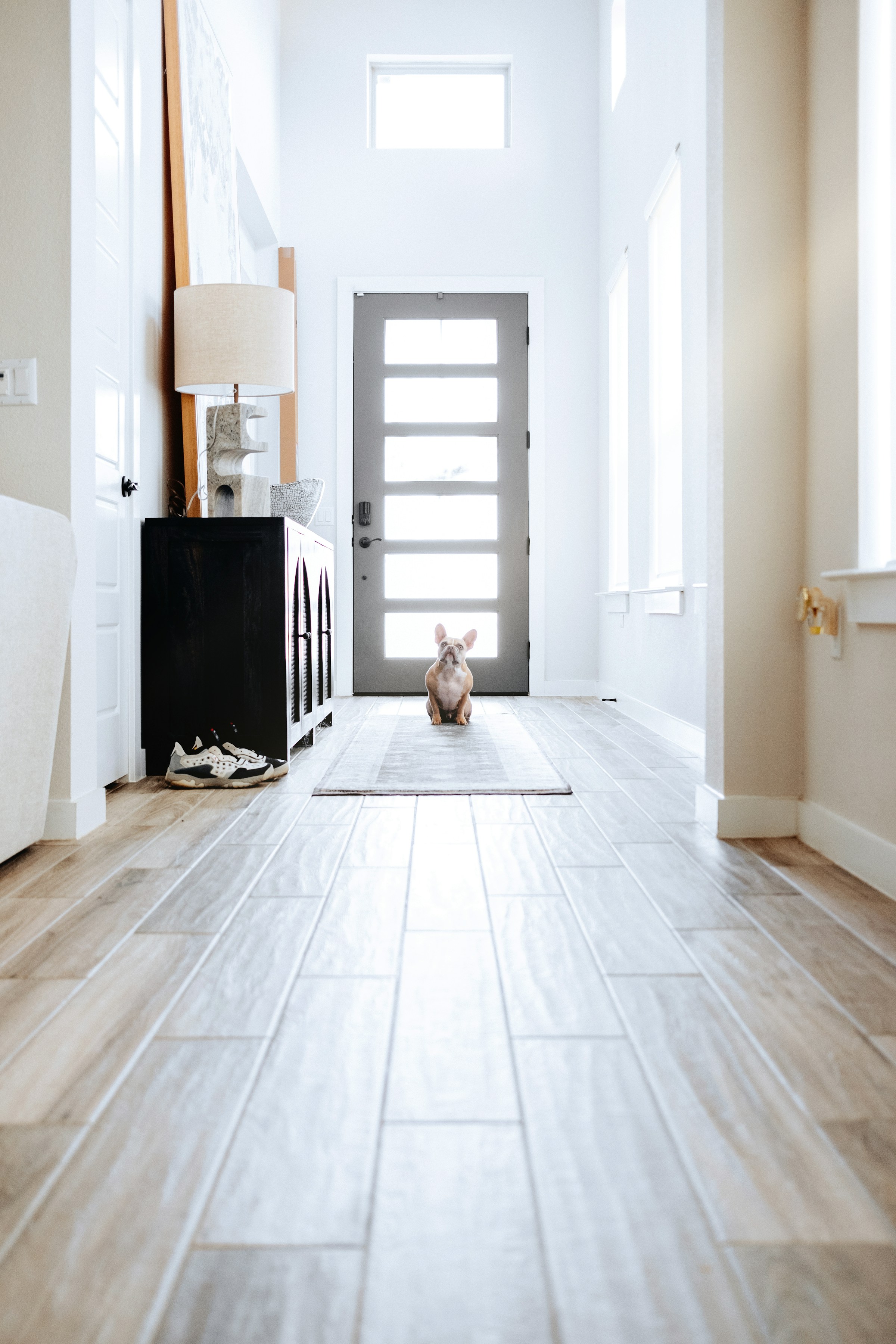 dog waiting front door