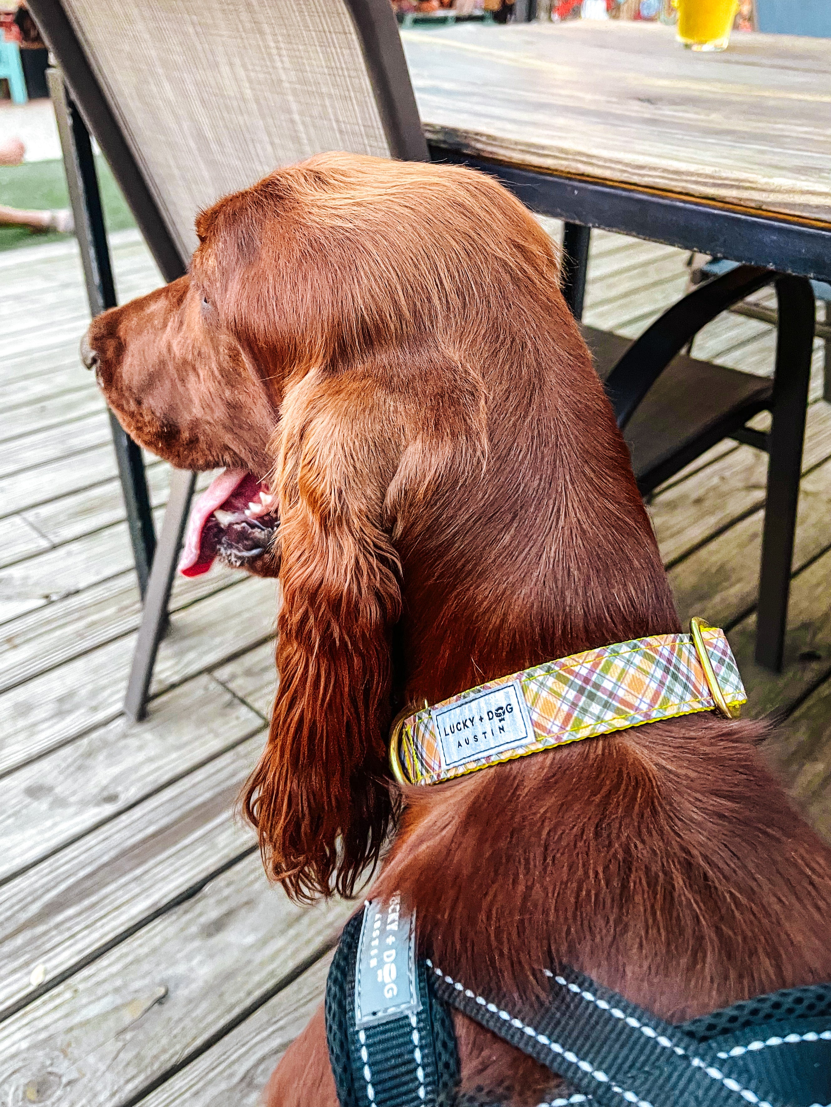 luckydog cozy cabin collar