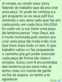 Mensagem de cliente contando que recebeu oito encomendas da Lanterna Encantada