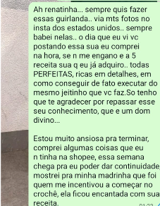 Mensagem de cliente contando que sempre quis fazer a guirlanda e elogiando as receitas da Renata