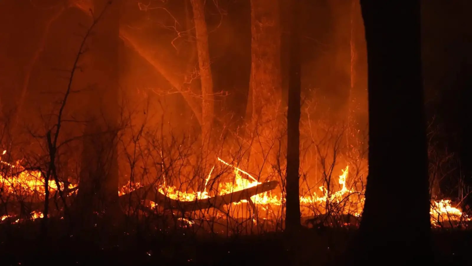 Nearly 1,000 Fires Burning in Canada! What Happens Next?