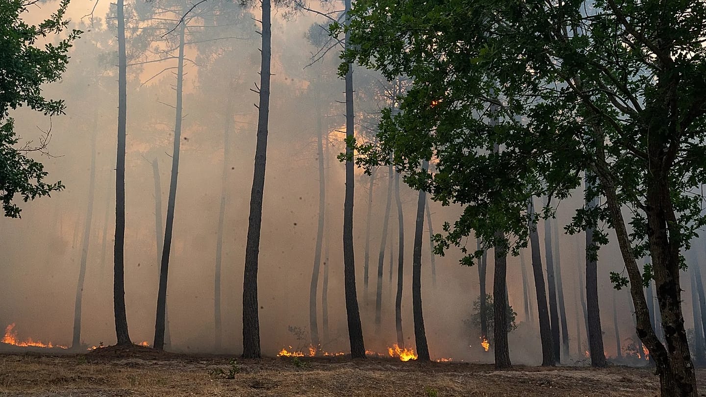 Fires Merge Near Madrid, France Sends In the Military. What's Next?
