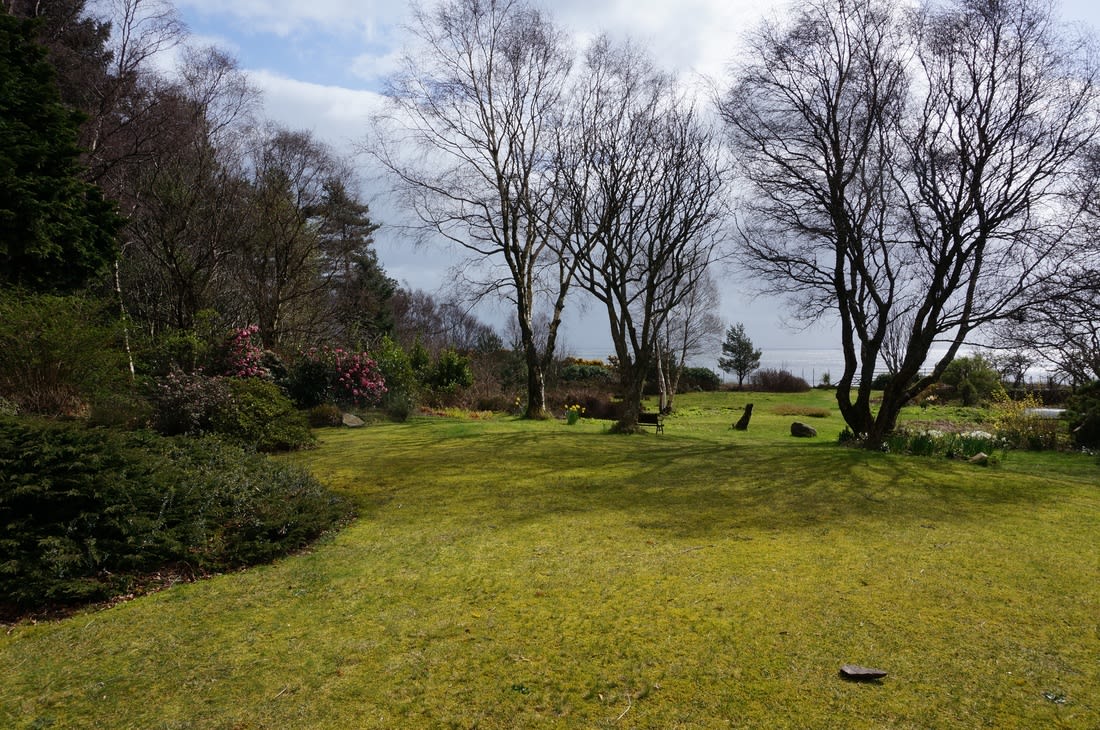 The garden