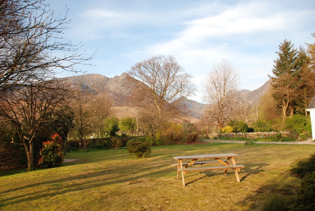 The garden