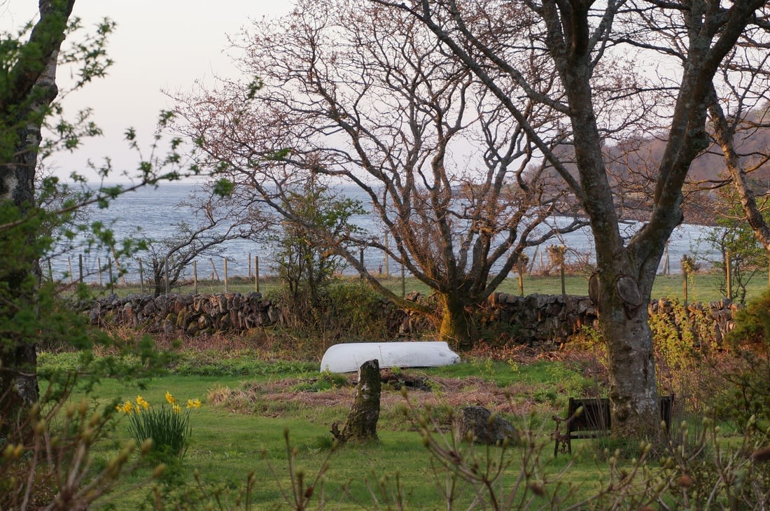 The garden