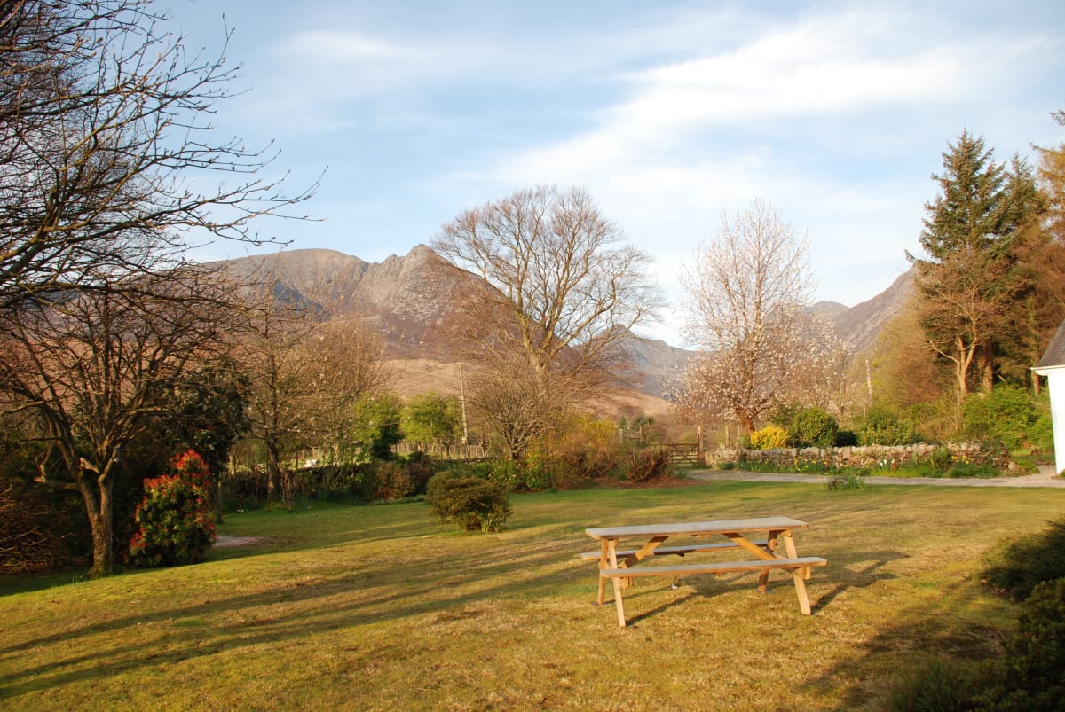 The garden