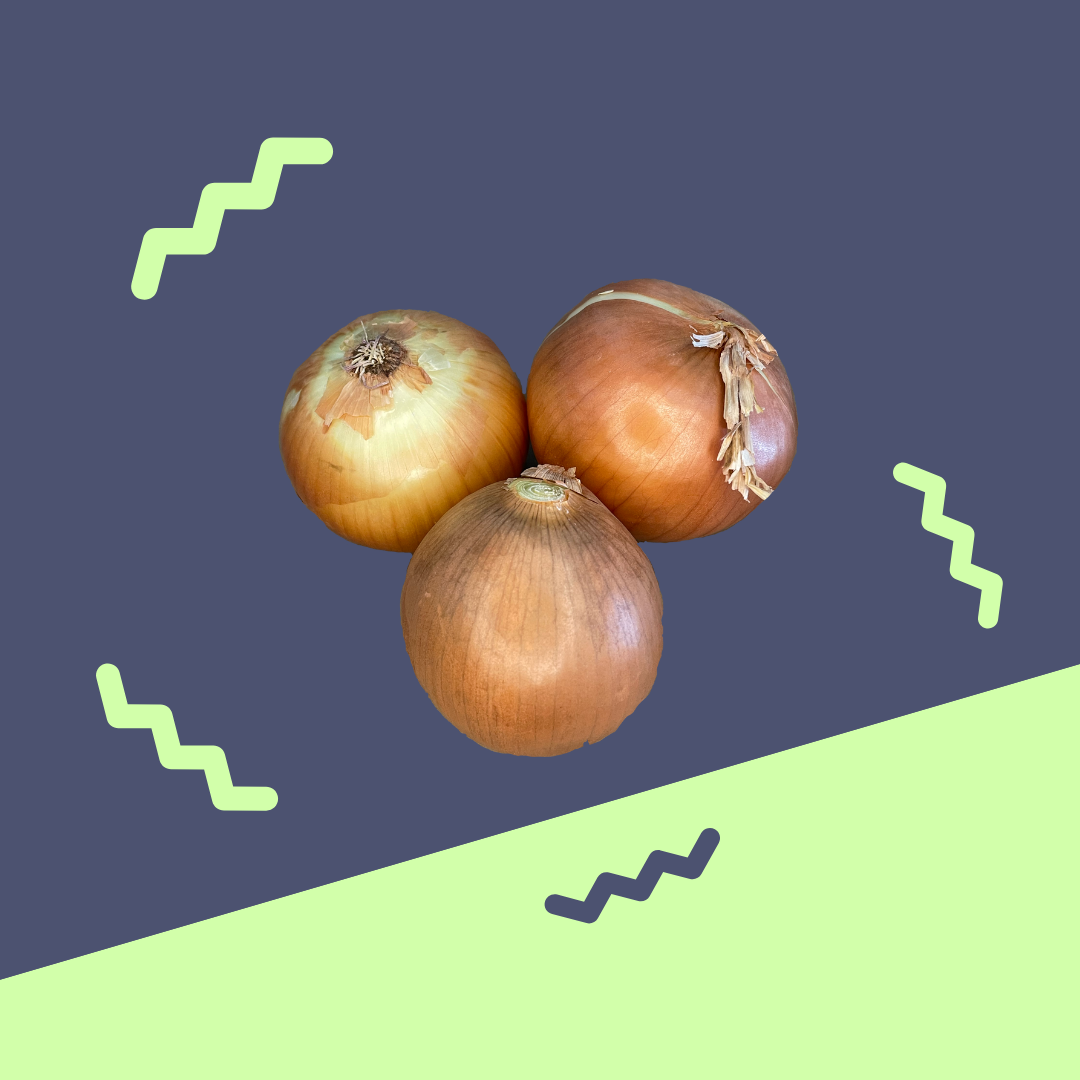 Onion, Yellow - Medium