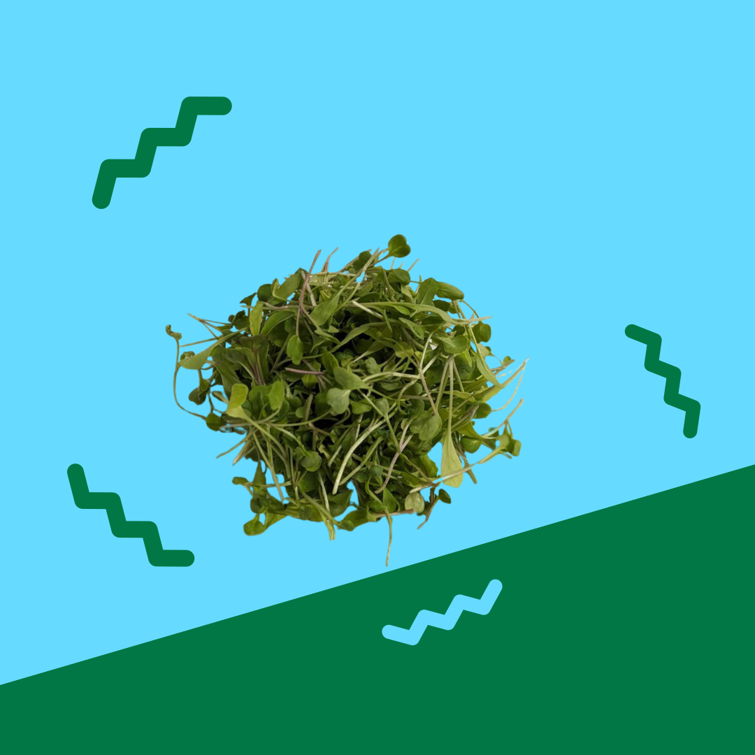 Microgreens, Arugula