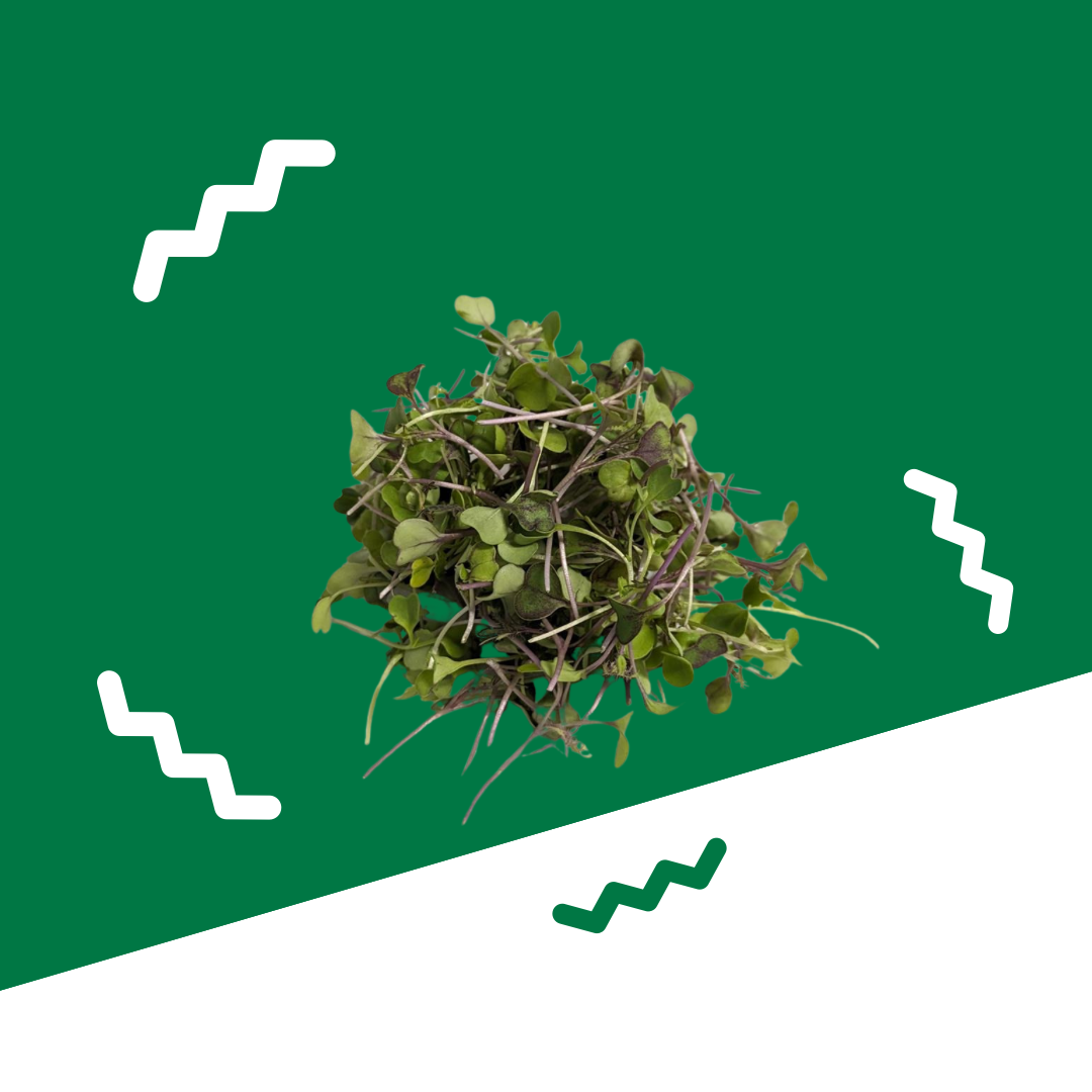 Microgreens, Kale
