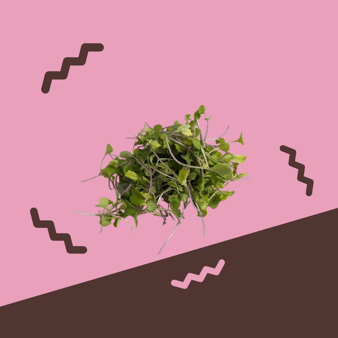 Microgreens, Kohlrabi