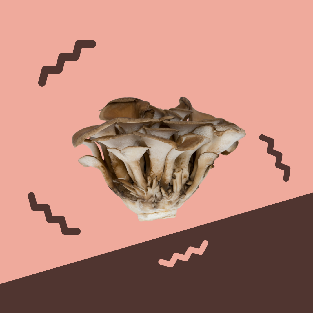 Mushrooms, Maitake