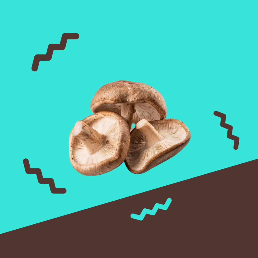 Mushrooms, Shiitake