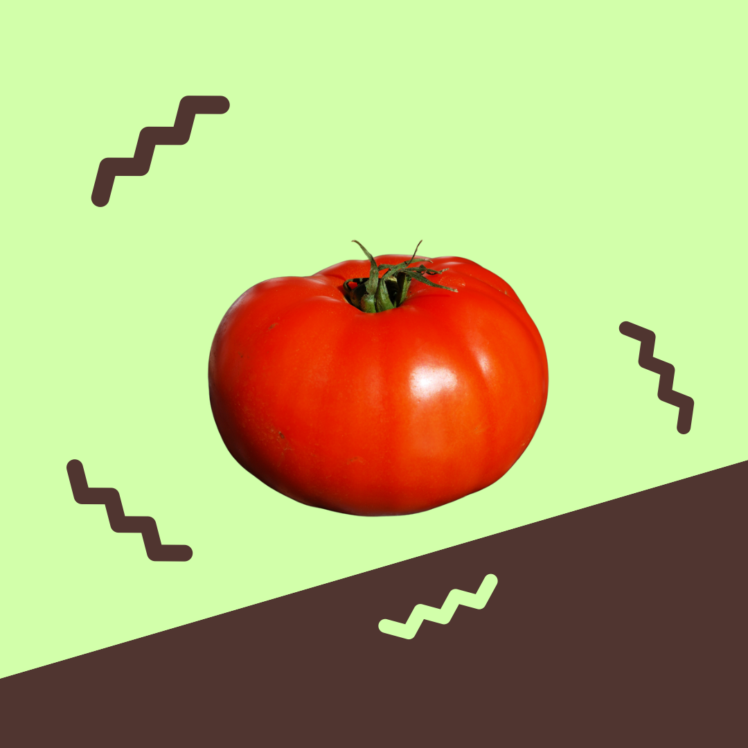 Tomato, Beefsteak