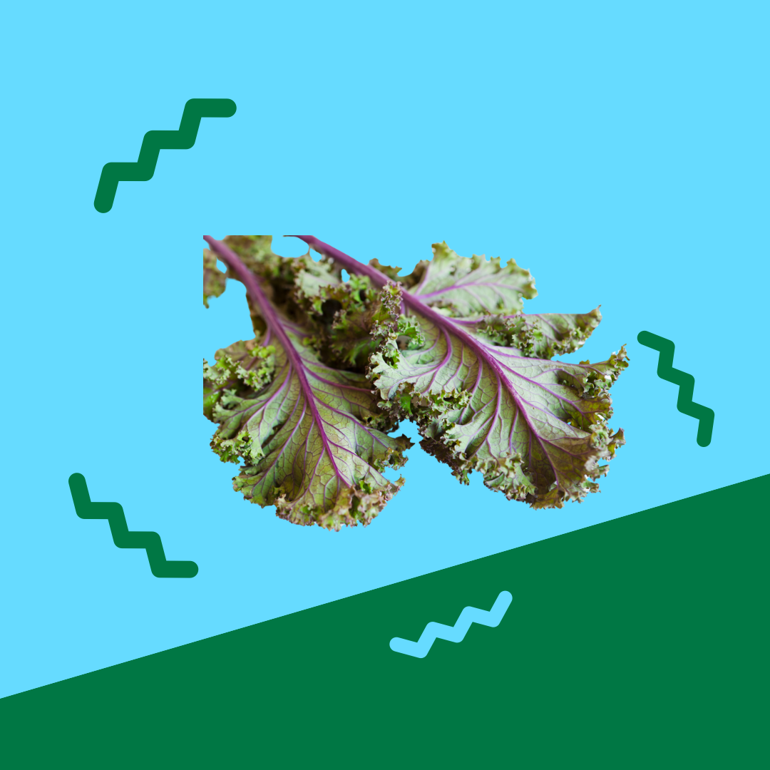 Kale, Mixed Colors