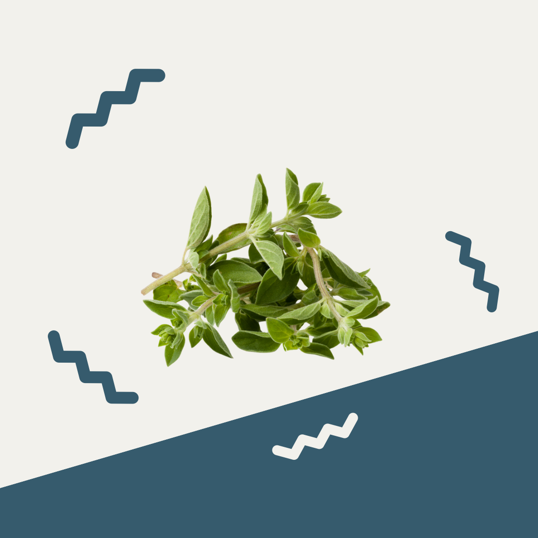 Oregano