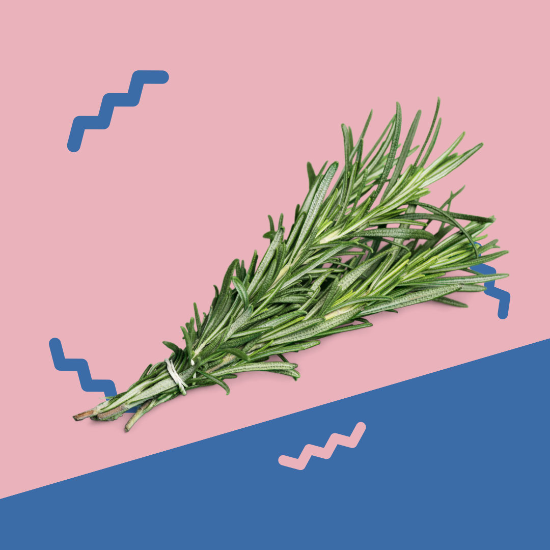 Rosemary