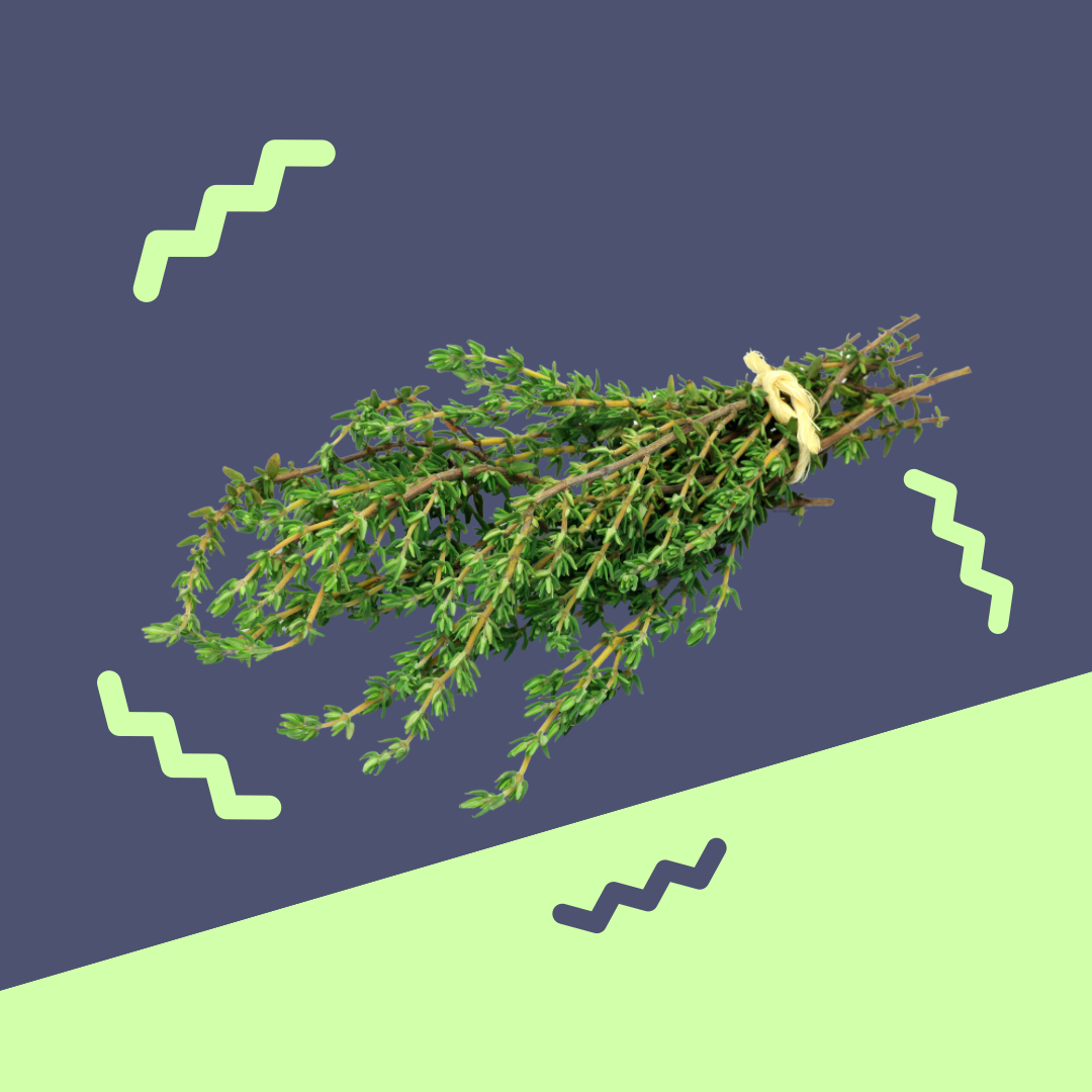 Thyme