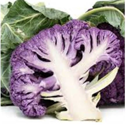 Cauliflower, Purple