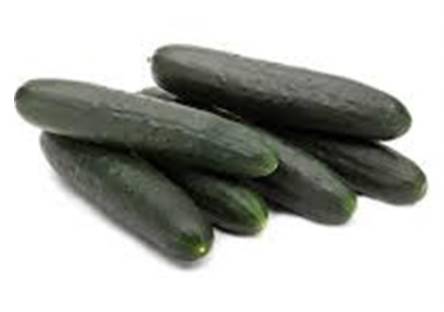 Cucumbers, Slicer