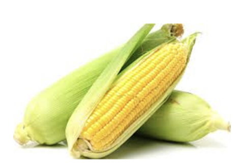 Corn, Sweet