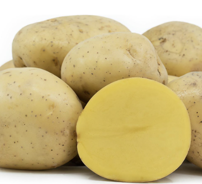 Potato, Yukon Gold