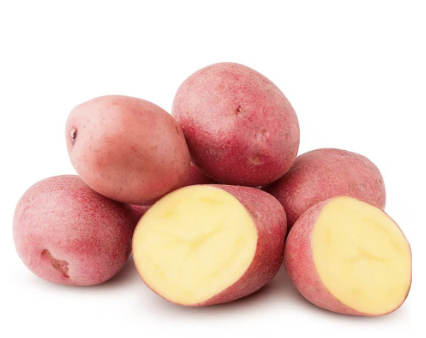 Potato, Red