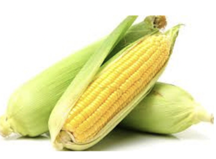 Corn, Sweet