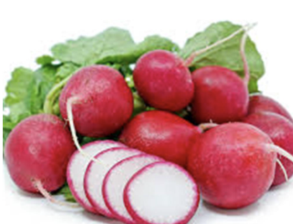 Radishes, Red