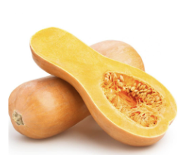 Squash, Butternut