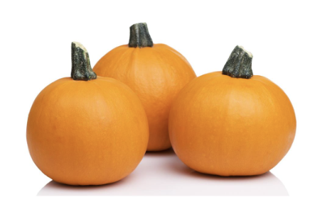 Pumpkin, Pie