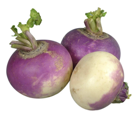 Turnips, Purple Top