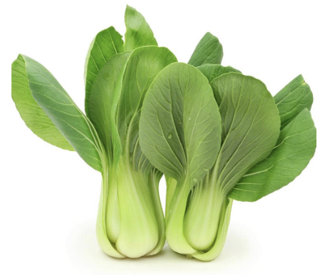 Bok Choy
