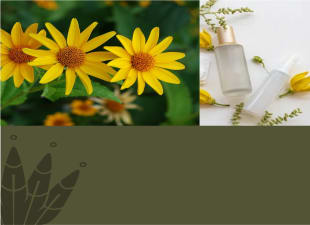 30ml de Chilcuague - Extracto Natural