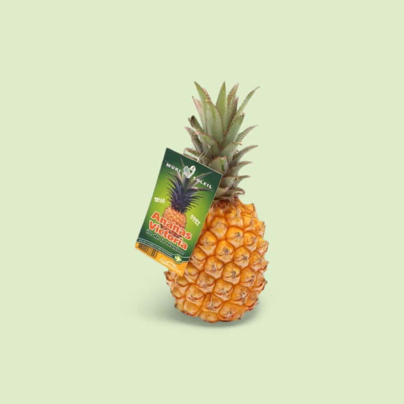 Ananas Victoria ~1,5kg Pièce