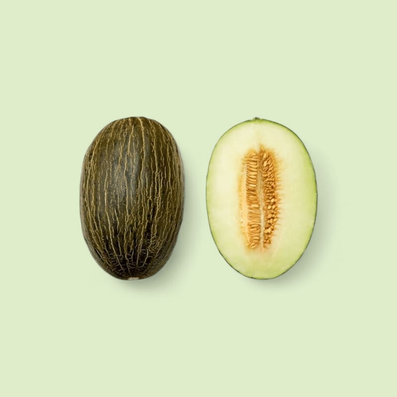 Melon Vert ~2,5kg Pièce