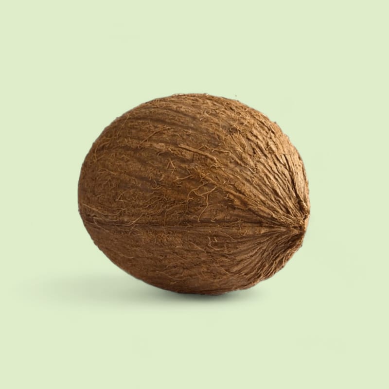 Noix De Coco