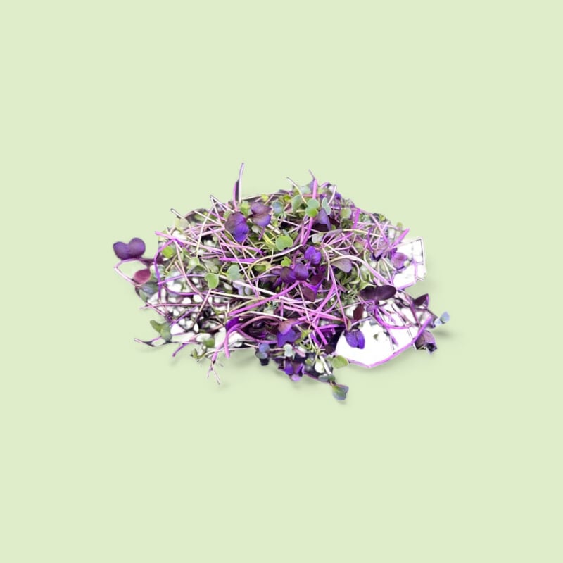 CHAMPERCHE Mix Micropousses - 100% Local