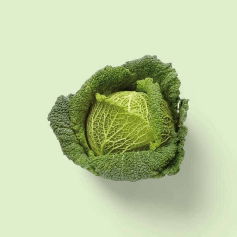 Chou vert frisé ~1,75kg pièce