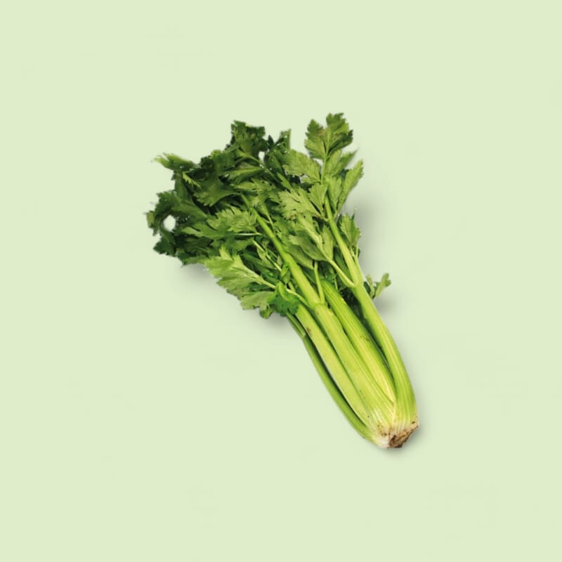 Céleri branche ~1,1kg pièce