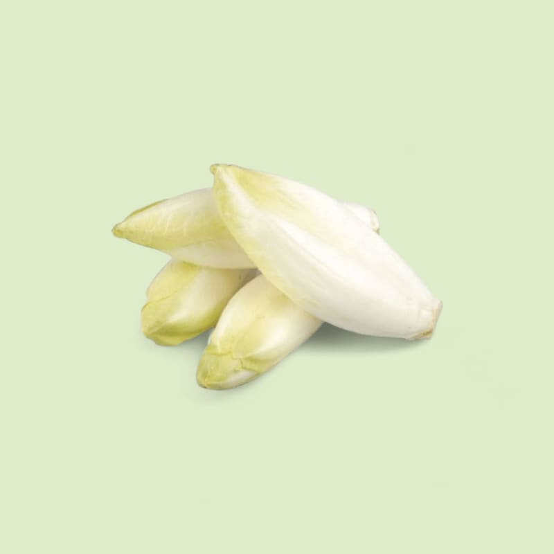 Endive blanche
