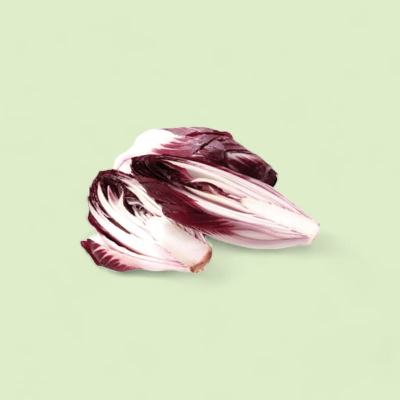 Endive Rouge