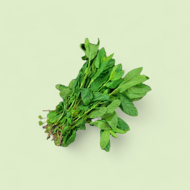 CHAMPERCHE Menthe Verte - 100% Local