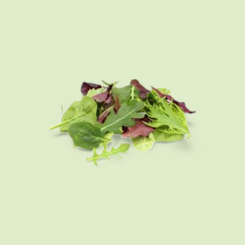 Mesclun barquette 125Gr