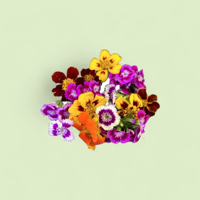 CHAMPERCHE Méli-Mélo de Fleurs -100% Local