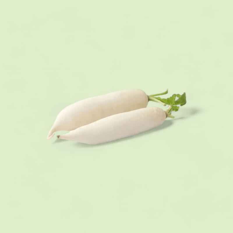 Radis Blanc Long (Daikon)