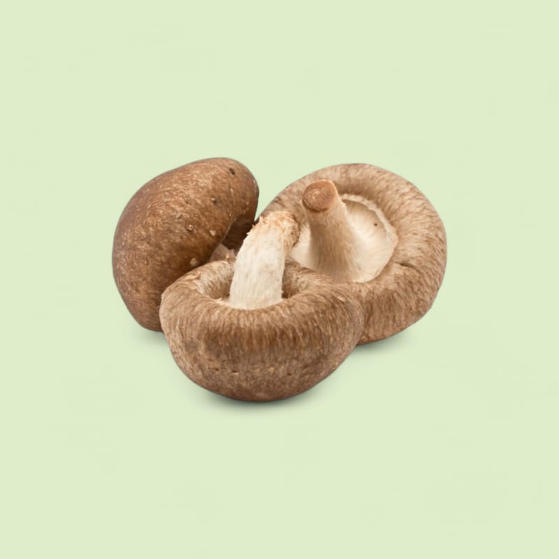 Shitake 2kg