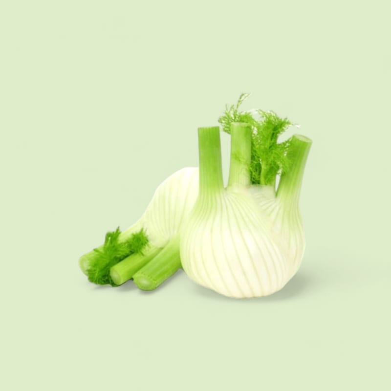 Fenouil