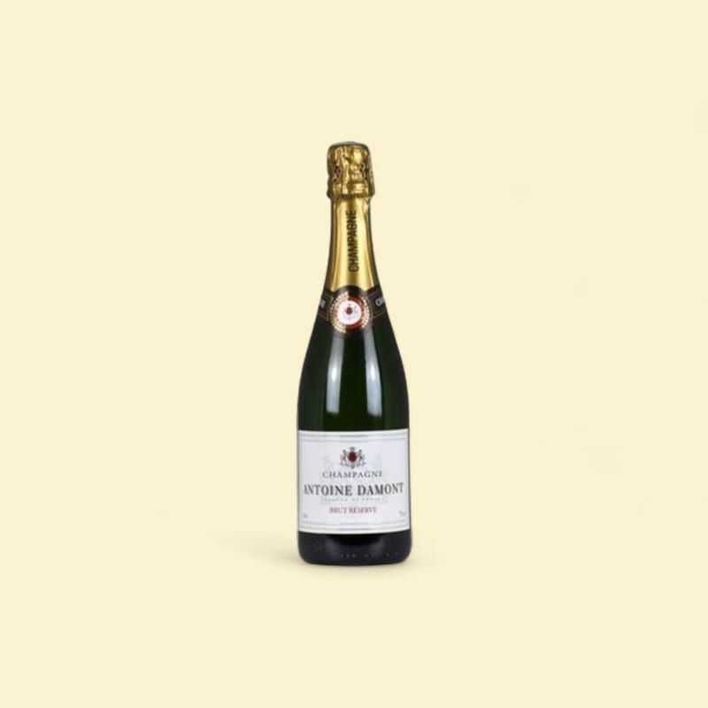 Champagne brut Antoine Damont 12° 75cl